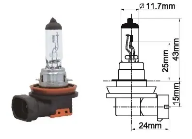 AMPUL [12V. H11 55W. ]