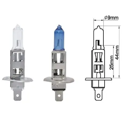AMPUL [12V. H2 55W. ]